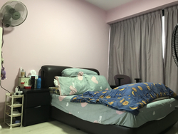 River Isles (D19), Condominium #242913421